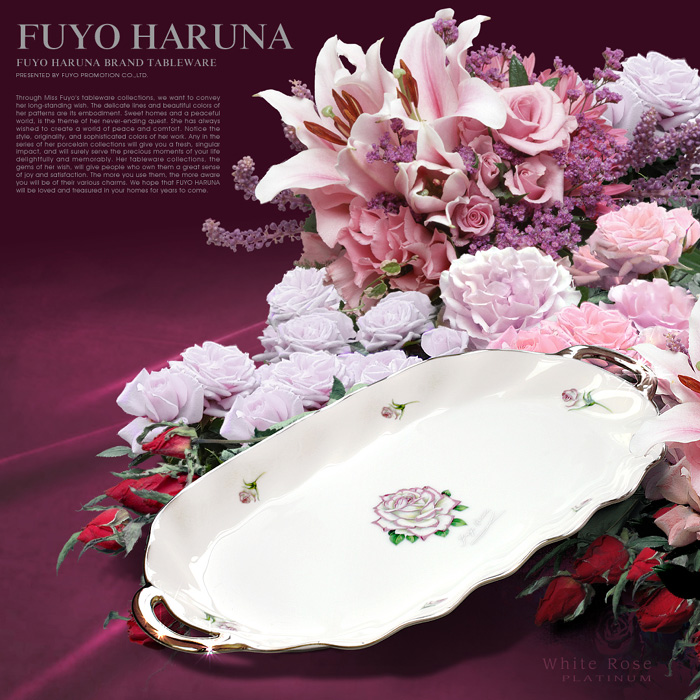 KNioj̐HB锒KÑv[giFUYO HARUNAuhe[uEGAj