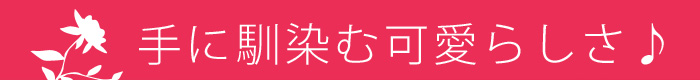 ̓̃v[gA蕨ɑlCI}OJbv
